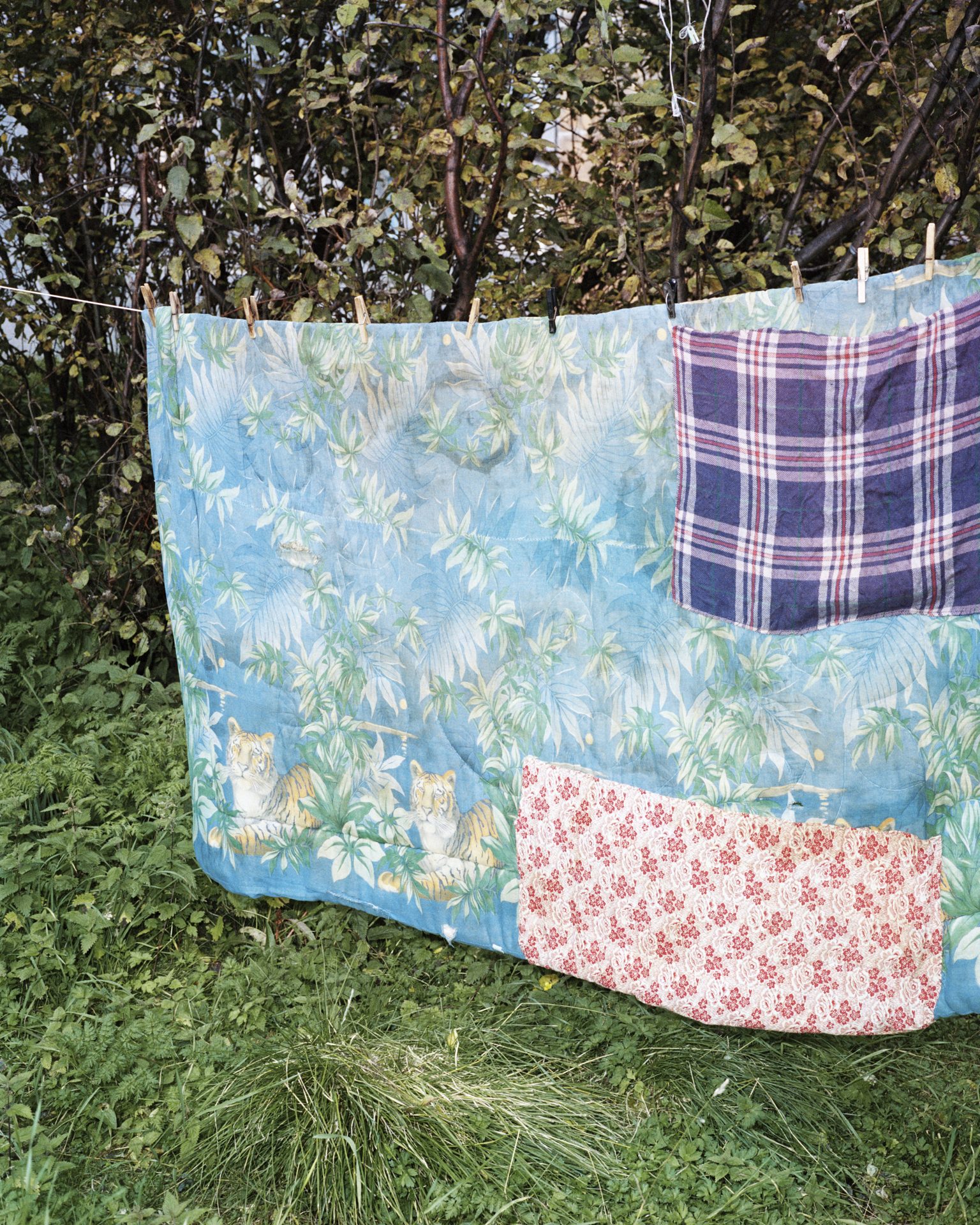 Quilt with tigers drying on a washing line